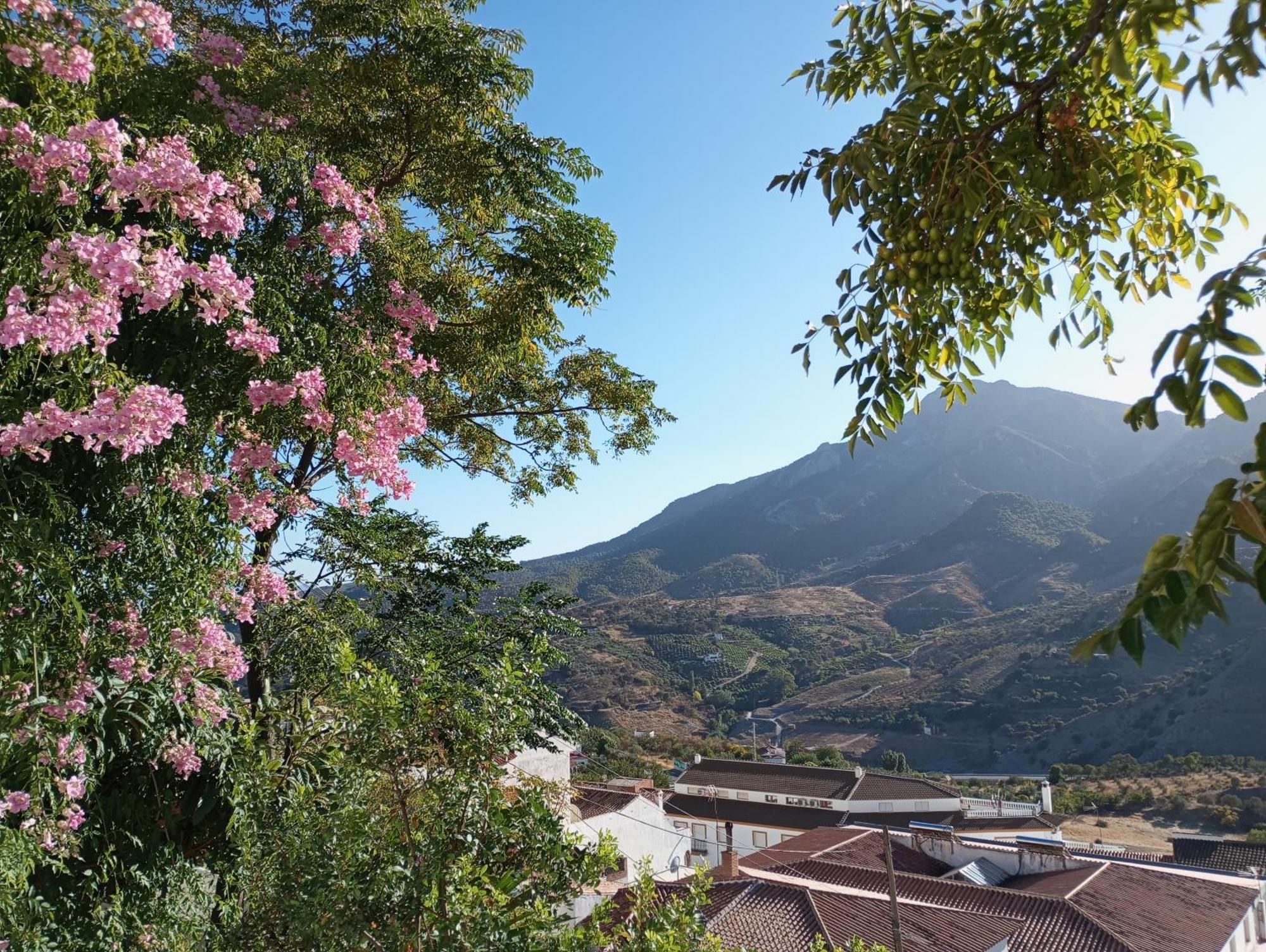 카라트라카 Sweet Water Caminito Del Rey B&B 외부 사진