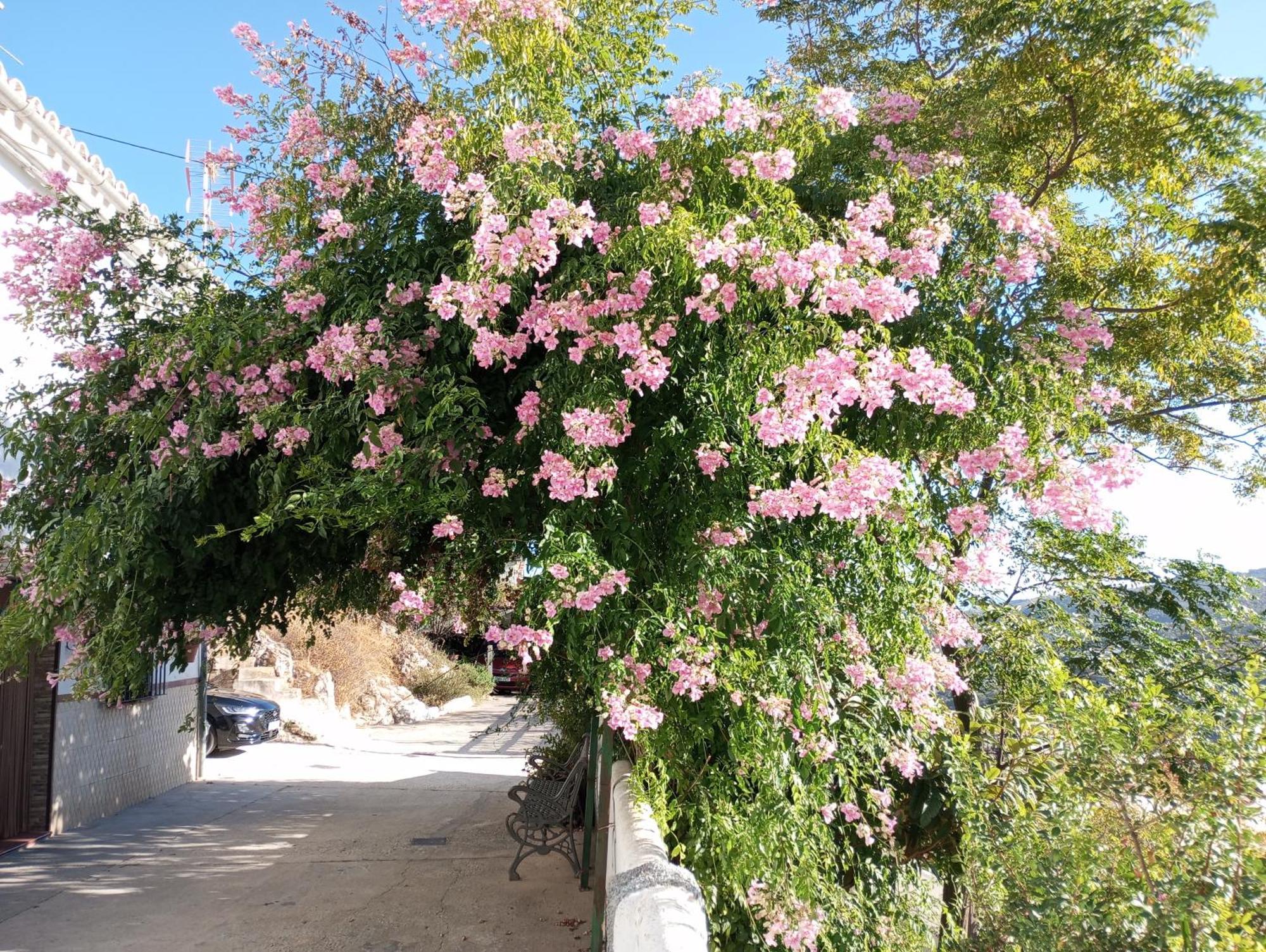 카라트라카 Sweet Water Caminito Del Rey B&B 외부 사진
